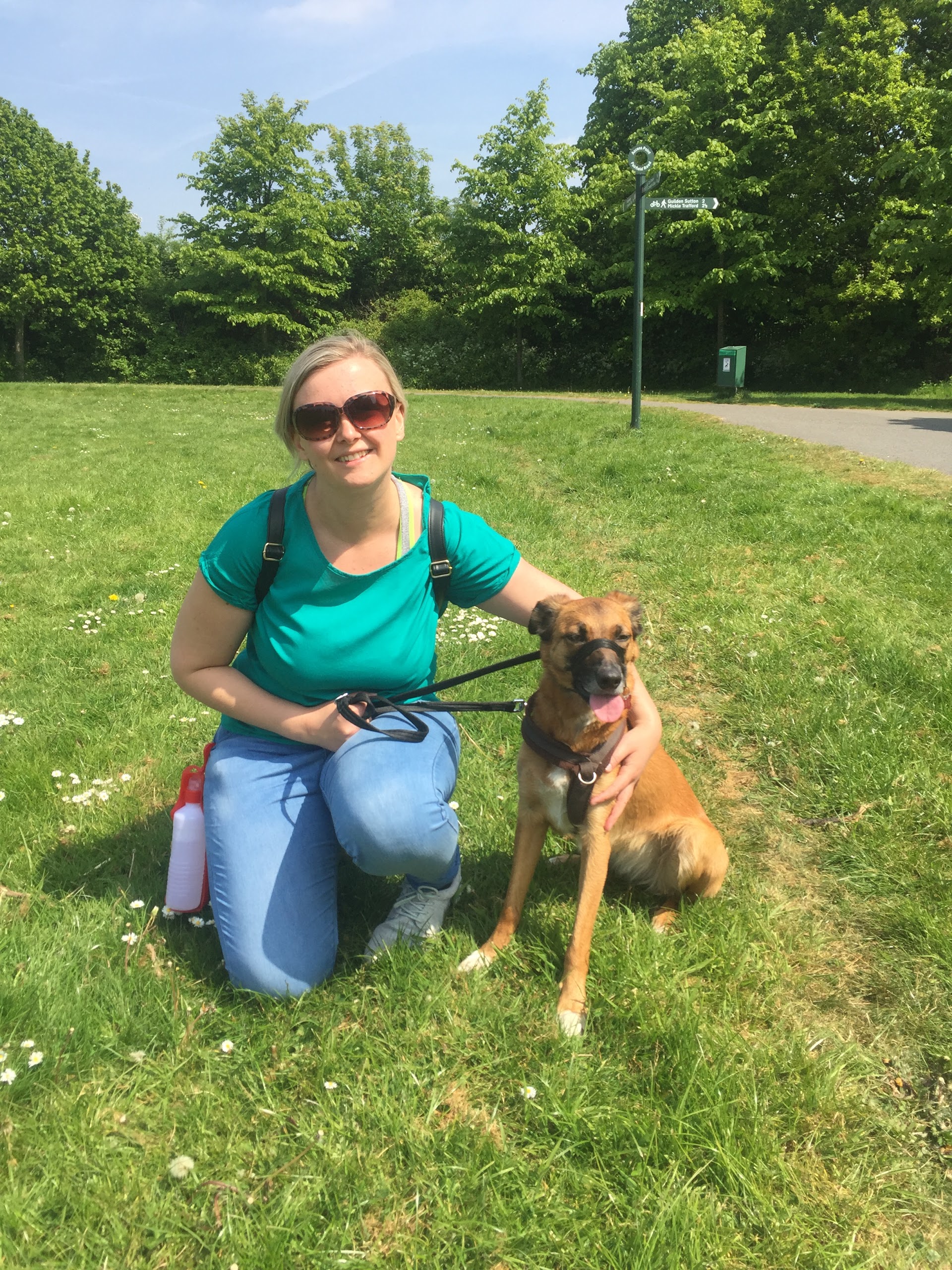 Petmates Chester - Professional Dog Walking & Pet Sitting | 70 Cross Green, Chester CH2 1QR | +44 7709 768986