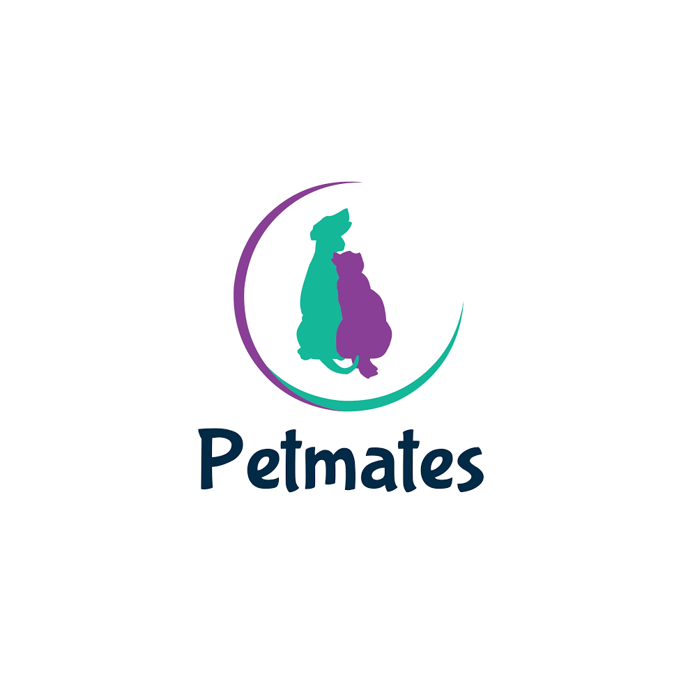 Petmates Chester - Professional Dog Walking & Pet Sitting | 70 Cross Green, Chester CH2 1QR | +44 7709 768986