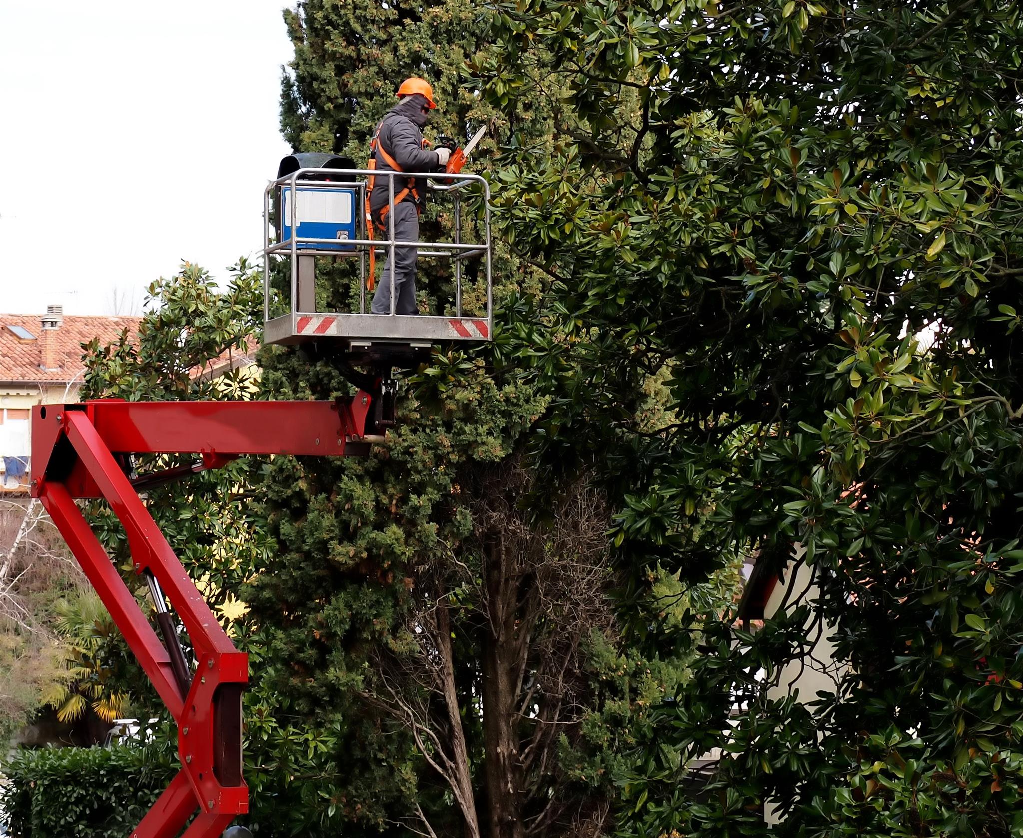 Dunkel Tree Service Llc Tree Service Logging Tree Removal Service In Sandpoint Id Sandpoint Id 83864