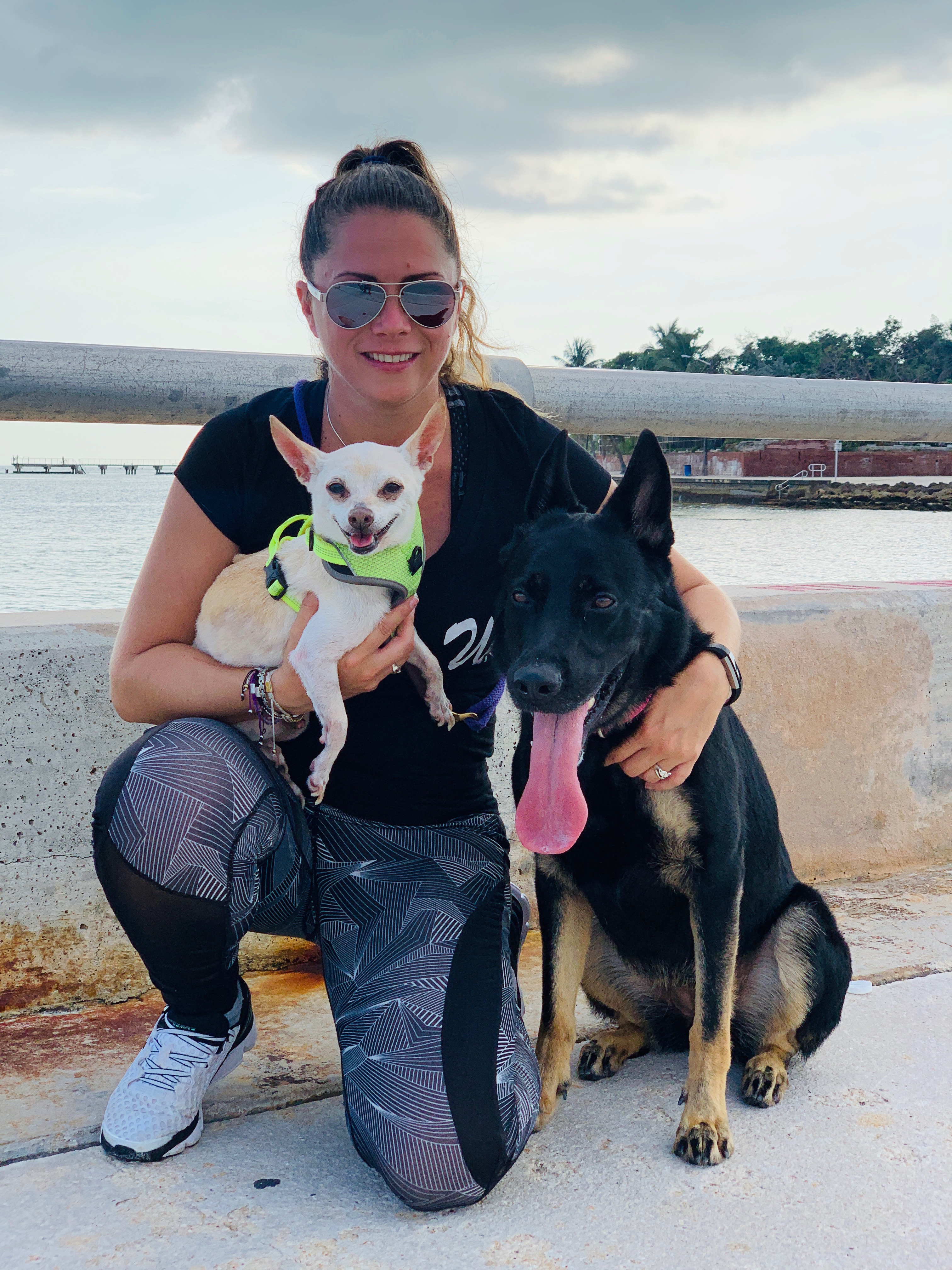 K9W Dog Training | Personal Dog Trainer, Port Orange FL.