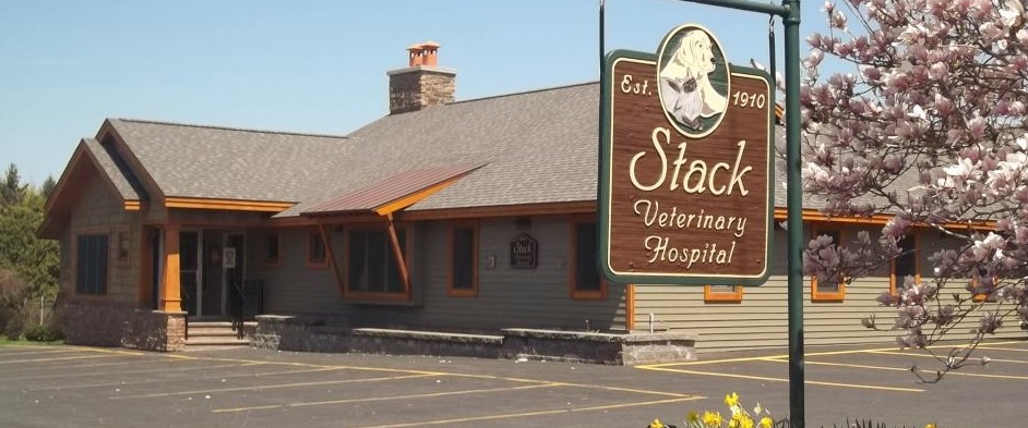 Stack Veterinary Hospital