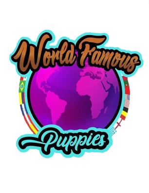 World Famous Puppies