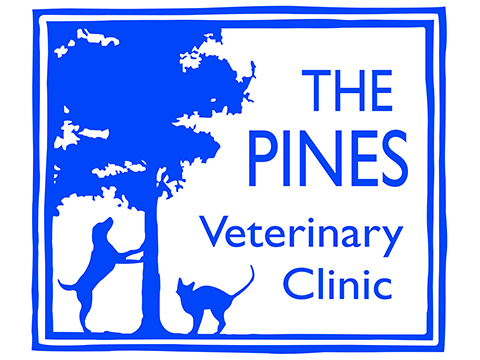 The Pines Veterinary Clinic | 146A Bath Road, Maidenhead SL6 4LB | +44 1628 776699