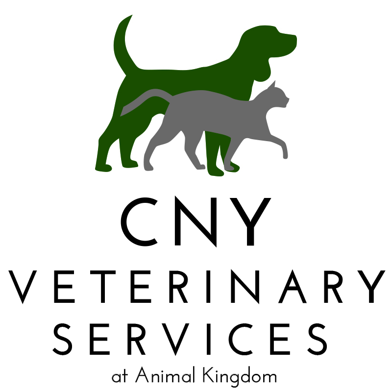CNY Veterinary Services at Animal Kingdom