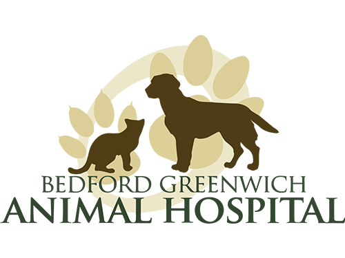 Bedford Greenwich Animal Hospital