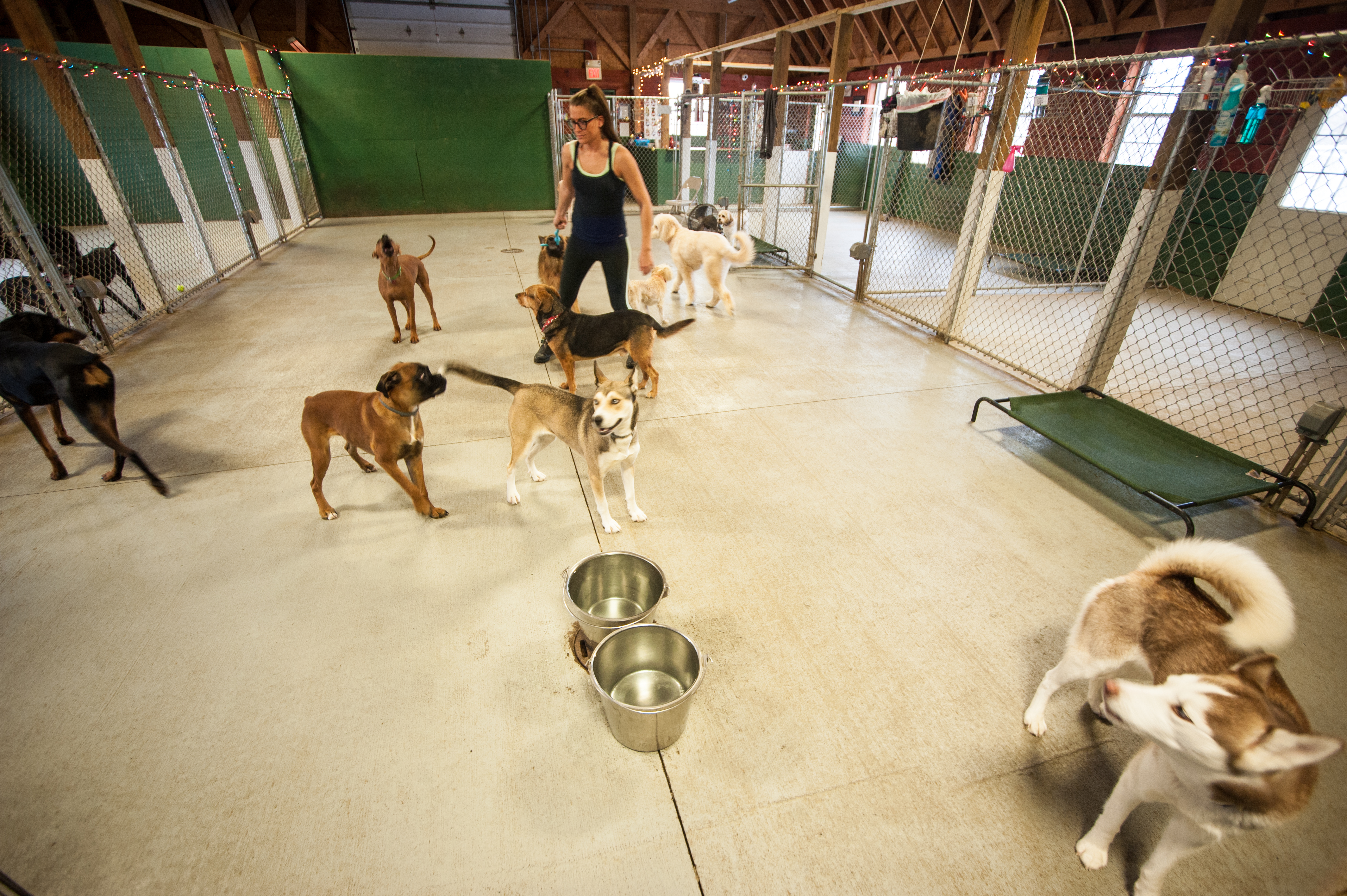 CNY Veterinary Services at Animal Kingdom