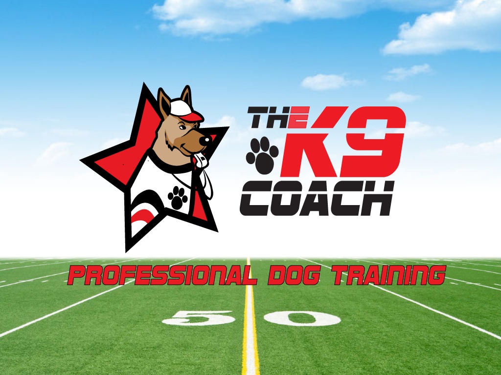 The K9 Coach | Sarasota Dog Training